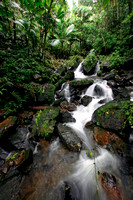Creek, Quebrada
