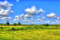 Dorado Grasslands