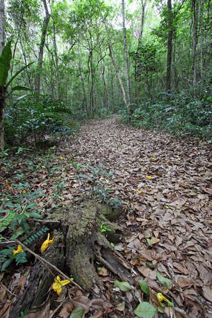 Cambalache Trail