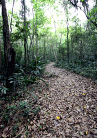 Cambalache Trail