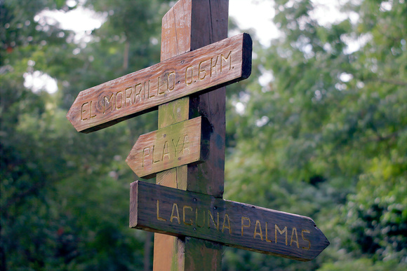 Trail Signs, Humacao Nature Reserve