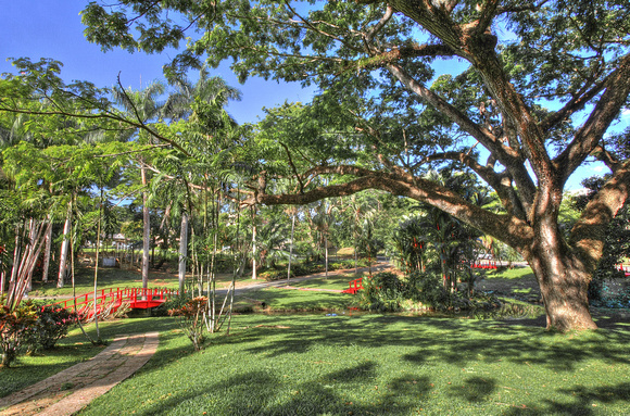 UPR Botanical Gardens, South