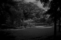 Jardín Botánico Sur