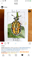 Sketches made by Lynn Pauly from two of my insect photos.