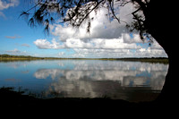 Tortuguero Lagoon, Manatí