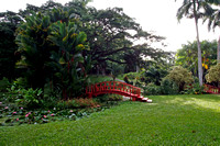 University of Puerto Rico's Botanical Gardens